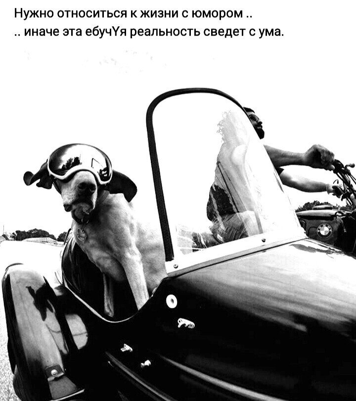 ***Victoria Viktorovna*** - 29  2022  07:26