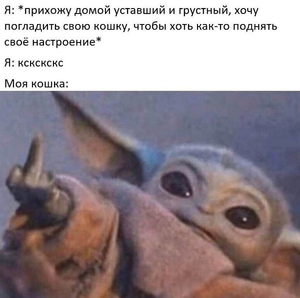    - 26  2022  20:21