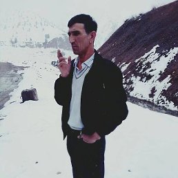 �����, �������, 54 ����