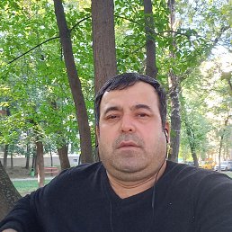 ���� ���, ������, 46 ��� - ��������� 13 ������ 2022