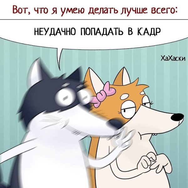 Да я прям профессионал в каждом из этих дел. А я уже было подумала, что у меня нет таланта