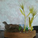 ������� �� ������� ���� ������