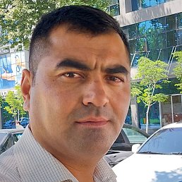 ������, ����� �������, 41 ���