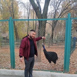 ���� ������, ������, 35 ��� - ��������� 12 ������� 2023