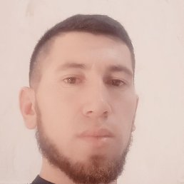 ������, ������, 37 ���