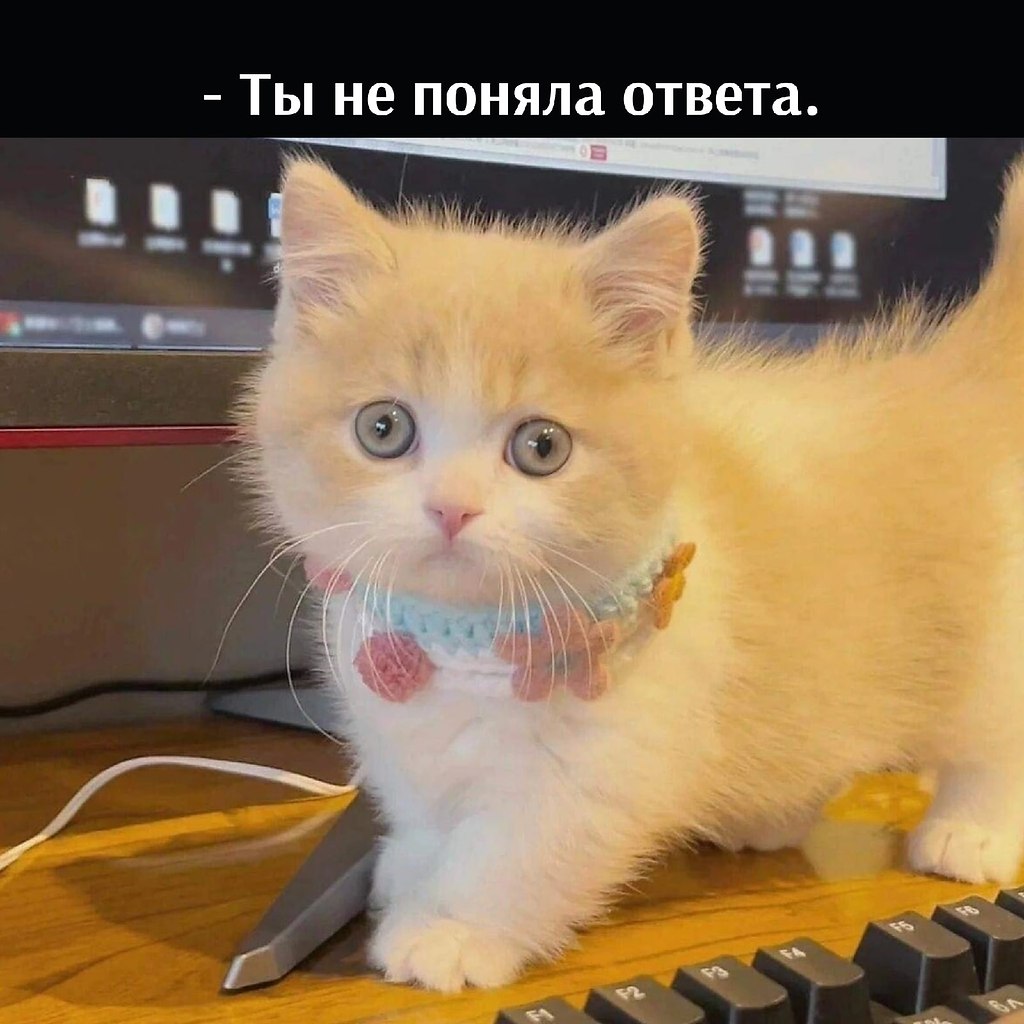       - 27  2022  11:32 - 4