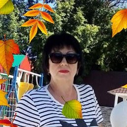 �����, �������, 54 ����