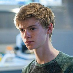 ������, �����-���������, 73 ����