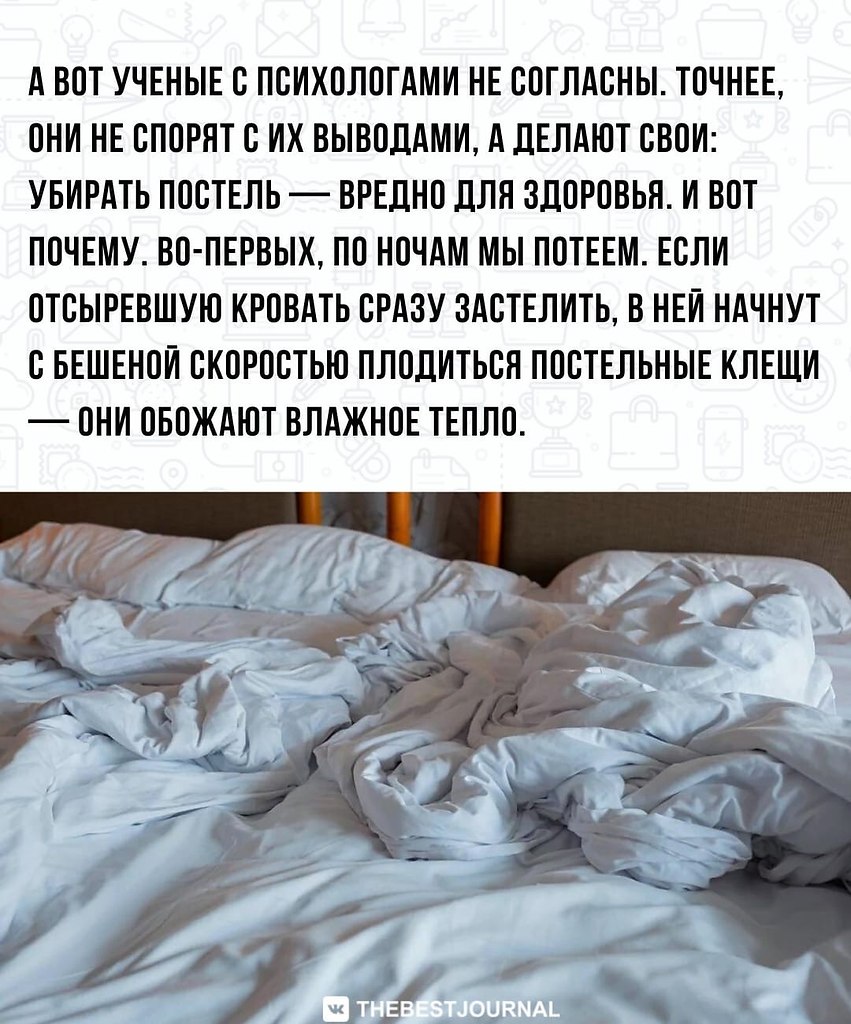 BEST | успех, мотивация, бизнес - 15 июня 2022 в 13:16 - 3