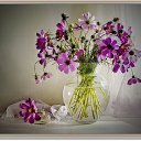 ���� �����, ������, 104 ���� - ��������� 25 ������ 2022