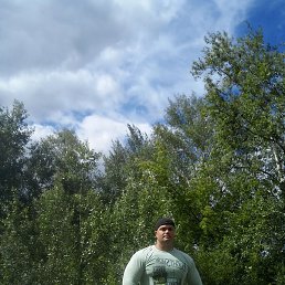 �����, ������, 40 ���