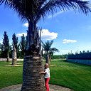 ���� �������, �����, 64 ���� - ��������� 27 ��� 2022 � ������ ���� ����������