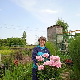 ����, �����������, 61 ���