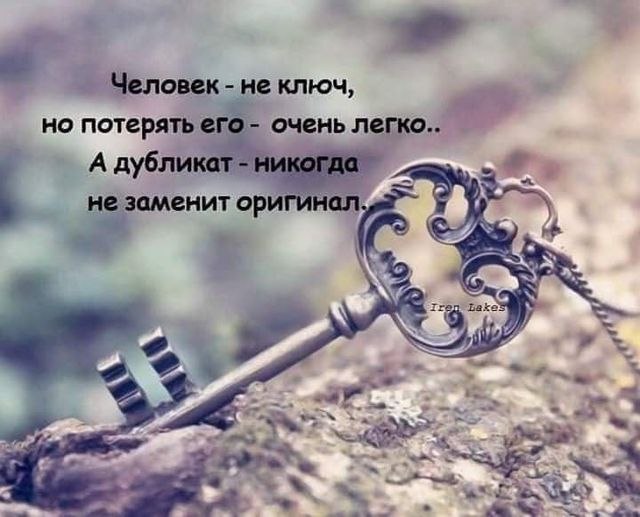   - 15  2022  18:03