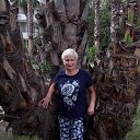 ���� �����, ������, 67 ��� - ��������� 12 ����� 2022