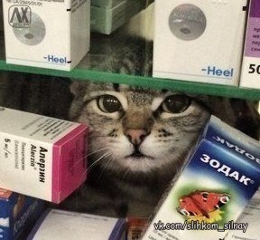 ������ ��� ����� � ������ ���������