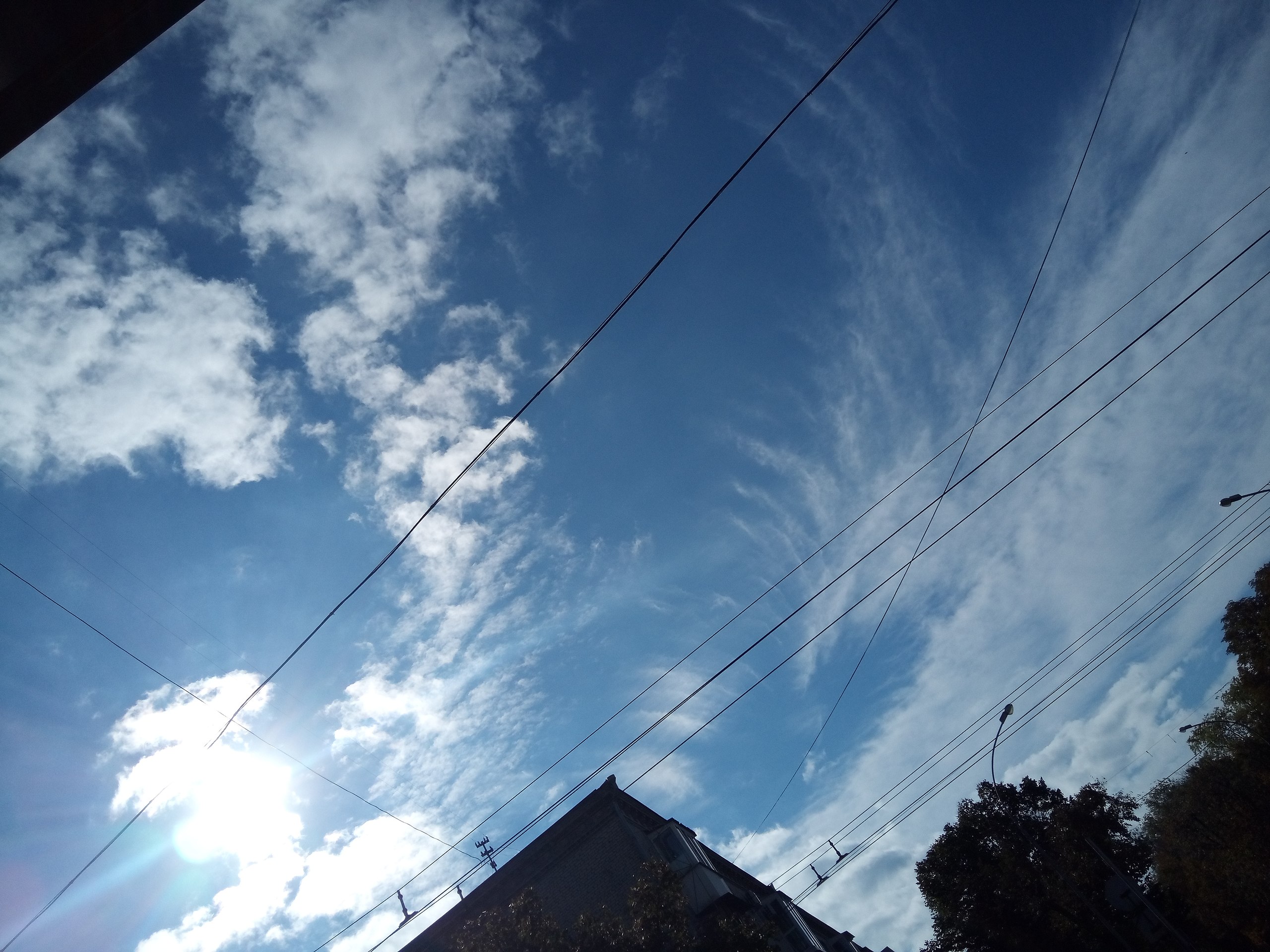   - 17  2022  09:48 - 2