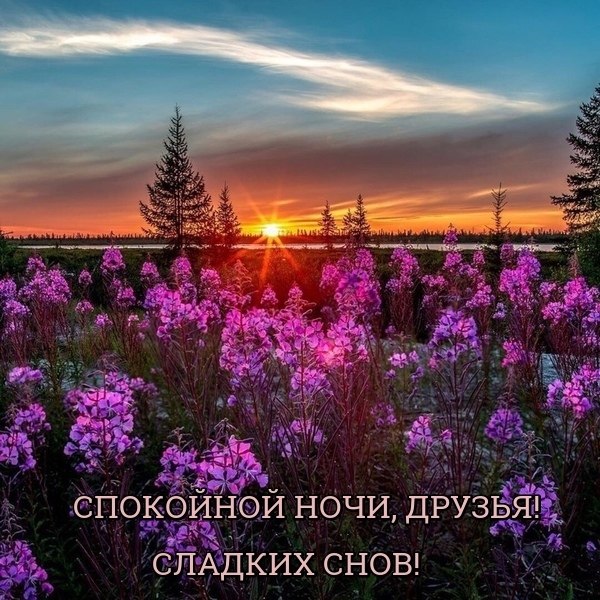  ! - 21  2022  20:53
