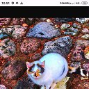 ���� ������, ������, 59 ��� - ��������� 4 ������� 2022 � ������ ���� ����������