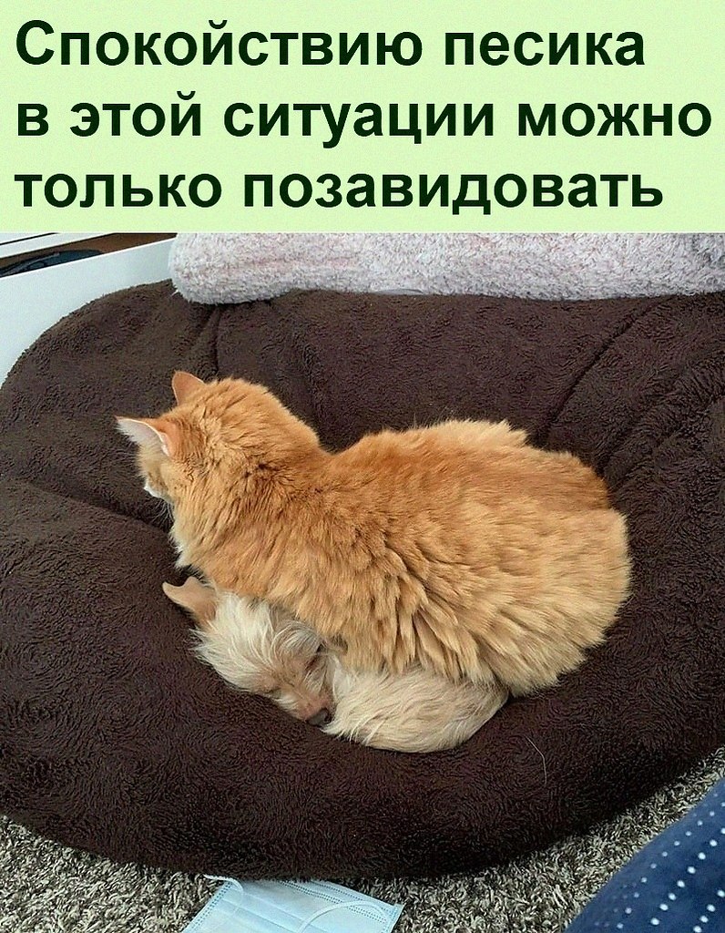   :D - 4  2022  13:25