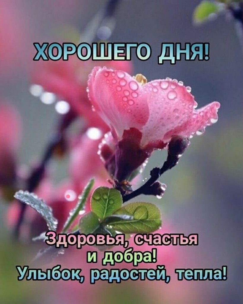   ,    . - 2  2022  12:31 - 3