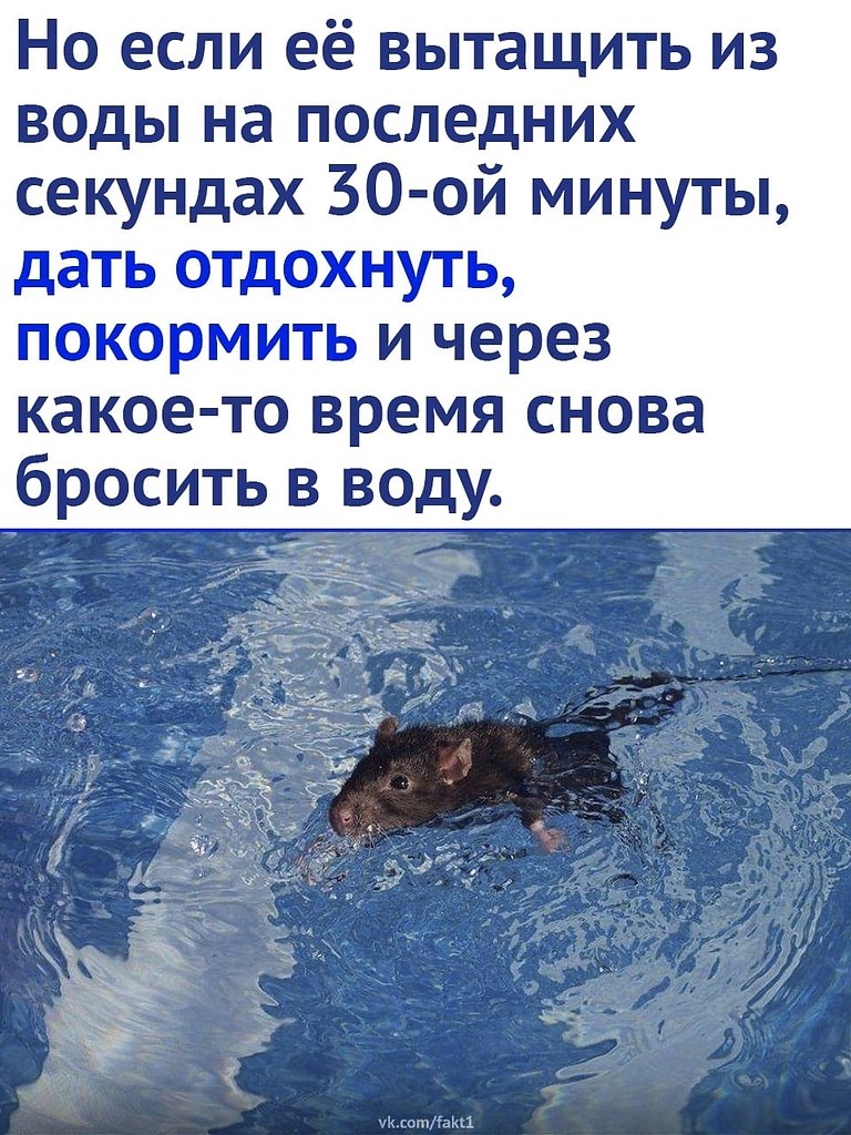    - 2
