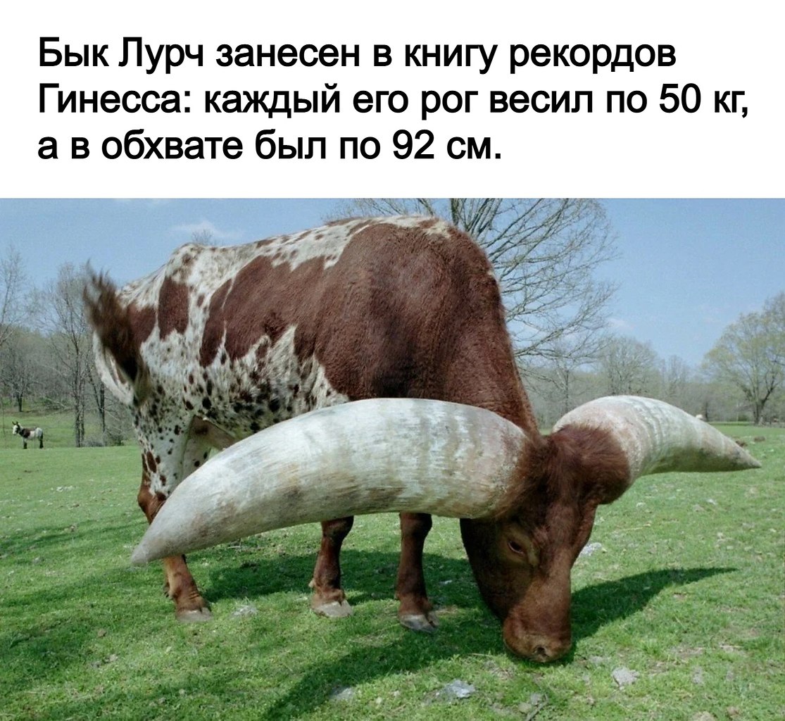   -  ,    ! - 3