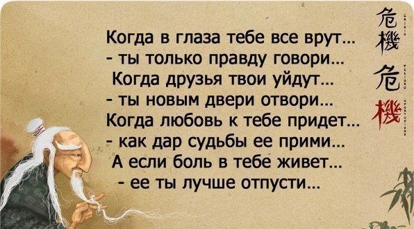 Lunapet - 29  2022  12:29