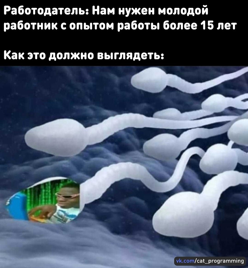 /zev/null - 9  2022  19:48