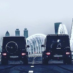 �������, ���������, 36 ���