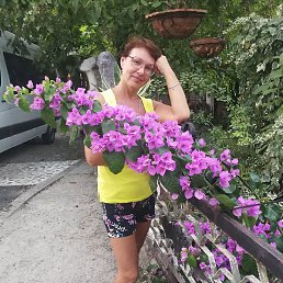 �����, �������, 61 ���