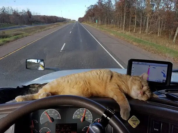 ОН РАБОТАЛ ДАЛЬНОБОЙЩИКОМ.Дальнобои, это такие люди знаете, которые всю жизнь проводят в дороге.И ...