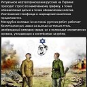 ���� ���������, �������, 63 ���� - ��������� 13 ���� 2022 � ������ ������ ��������