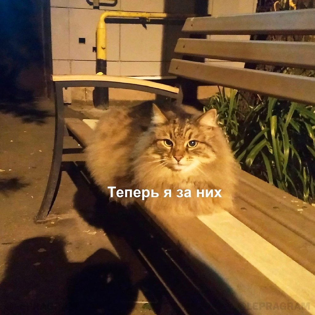 ,    - 2