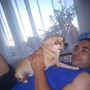 ���� ����, ��������, 33 ���� - ��������� 6 ������ 2023 � ������ ���� ����������