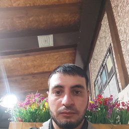 murad, 28 , 