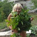 ���� �����, �����-���������, 45 ��� - ��������� 5 ������� 2023