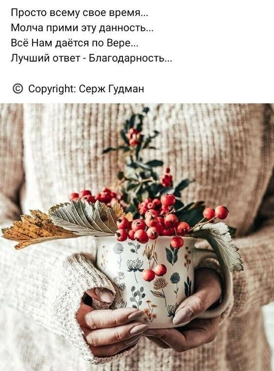  - 12  2022  15:34
