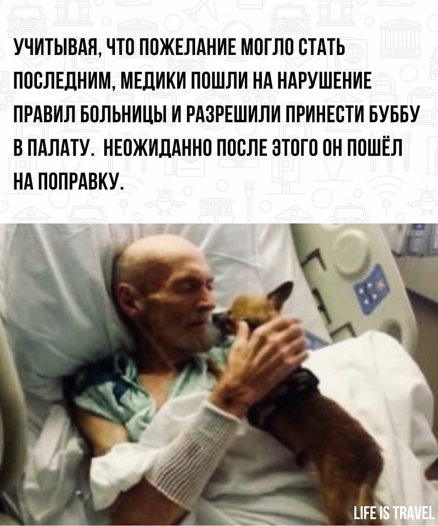 BEST | , ,  - 7  2022  22:14 - 4
