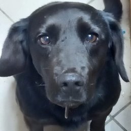 ���� ���, �������, 46 ��� - ��������� 29 ������� 2022