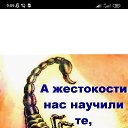 , , 46  -  13  2022   