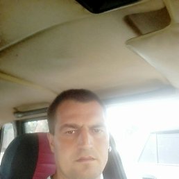 �����, ����, 41 ���