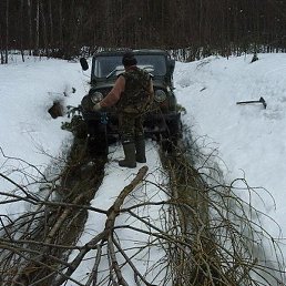 ������, ���������, 66 ���