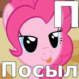 �����, ����������, 26 ���