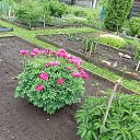 ���� ��������, �����, 72 ���� - ��������� 28 ���� 2022