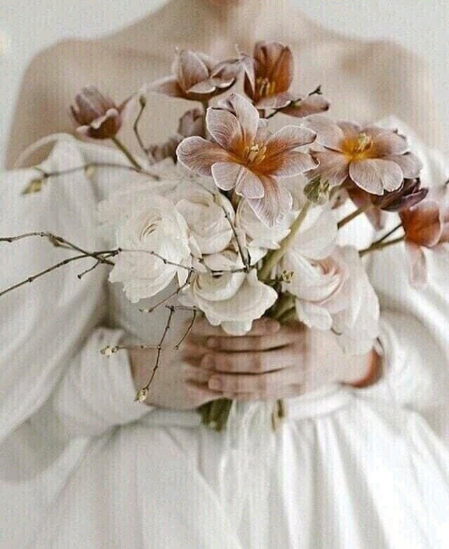    .    ,       , -   ...