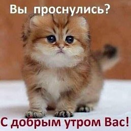 ����, ������, 38 ���