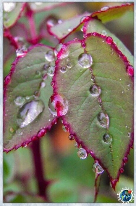 a��� poc� �a� �po���e�e��e �c��cc��a! ���� ������������ ��� - 6