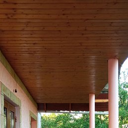 �����, �������, 62 ����