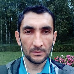 �����, �����-���������, 43 ����